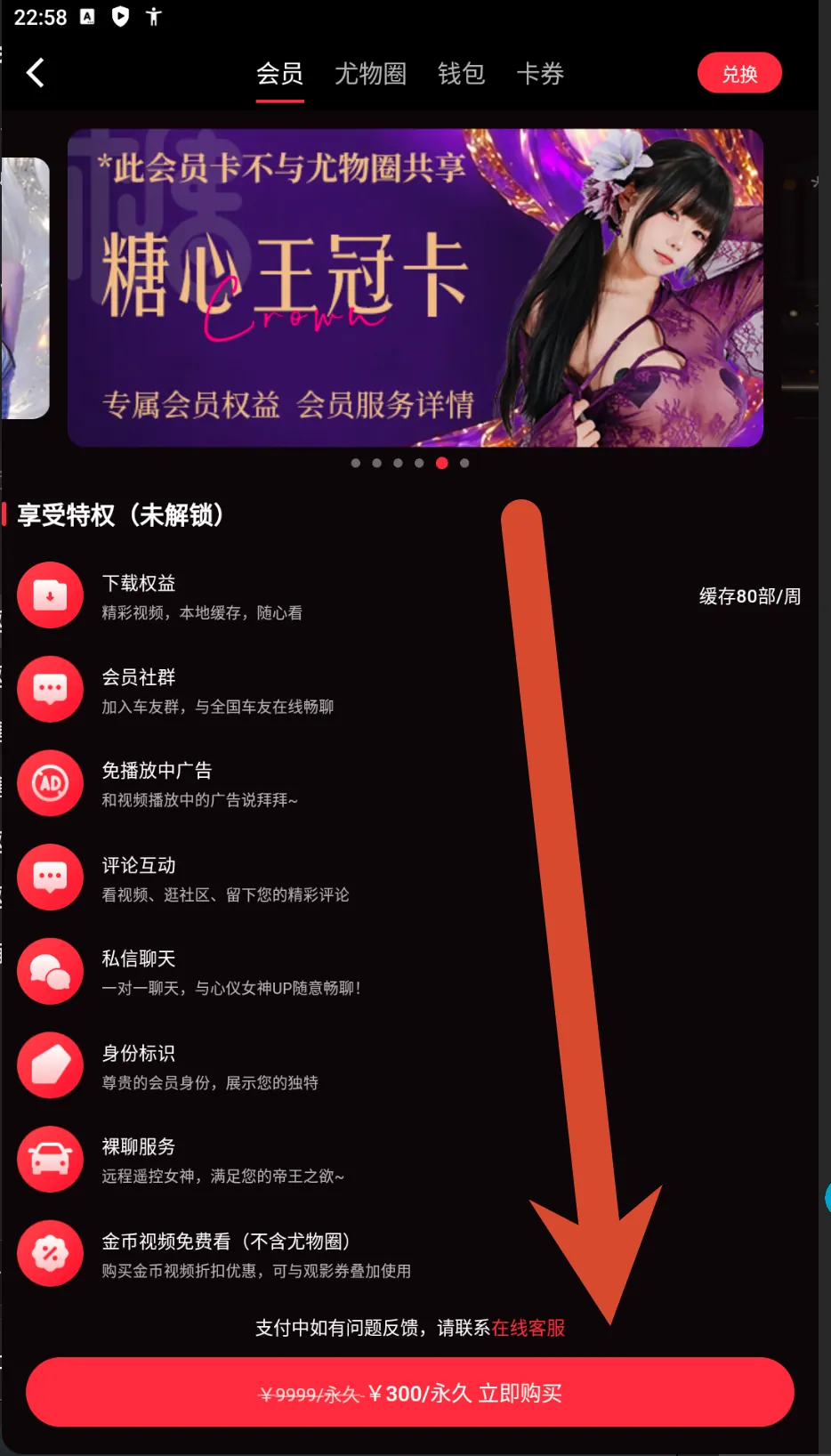 糖心Vlog皇冠会员卡价格截图