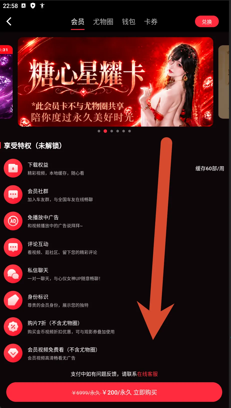 糖心Vlog星耀会员卡价格截图